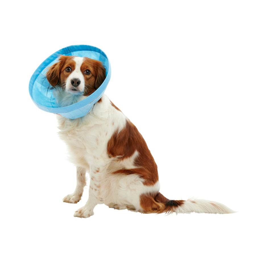 Buster Soft Flex Collar for Cats and Dogs - 30 cm - product image 3