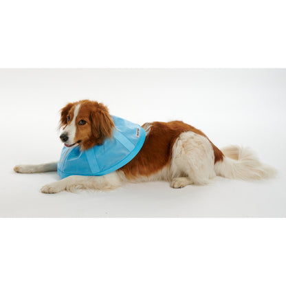 Buster Soft Flex Collar (Blue) 30 cm 1 Collar - additional product view 4