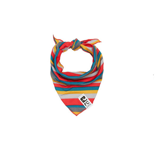 Zephyr Cooling Bandana for Dogs 1 Bandana