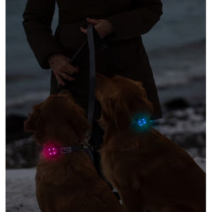 LED Light Nova for Dogs 1 Unit - additional product view 4