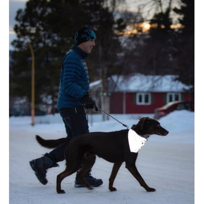 Bandana Halo Reflective for Dogs (Silver) 1 Bandana - additional product view 2