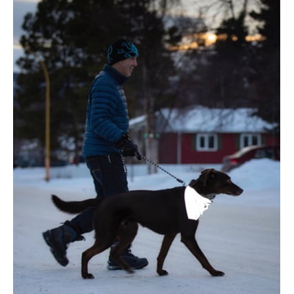 Bandana Halo Reflective for Dogs (Silver) 1 Bandana - additional product view 2