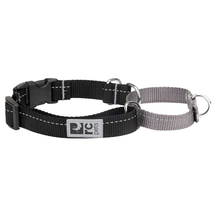 Primary Web Training Clip Collar for Dogs 1 Collar, Black, Medium