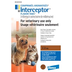 Interceptor Flavor Tabs for Cats and Dogs, Brown / Brun, 6 Chews - product image 1