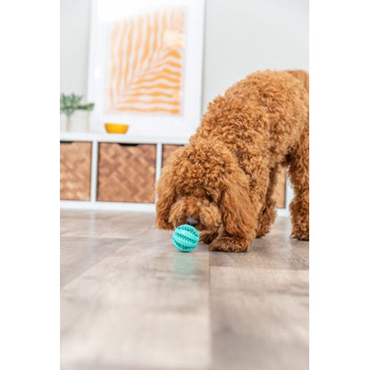 Toy Ball Denta Fun for Dogs (5 cm), 1 Ball - additional product view 2
