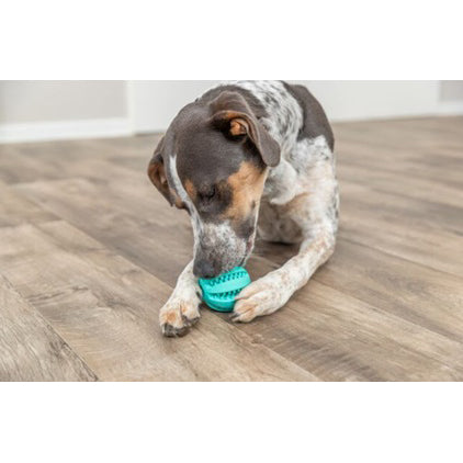 Toy Ball Denta Fun for Dogs (5 cm), 1 Ball - additional product view 3