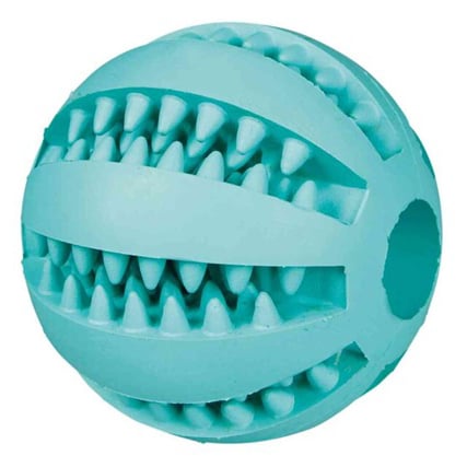 Toy Ball Denta Fun for Dogs (7 cm), 1 Ball