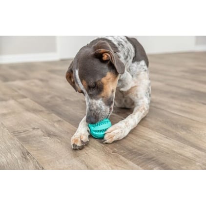 Toy Ball Denta Fun for Dogs (7 cm), 1 Ball - additional product view 3