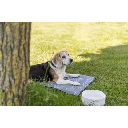 Bowl Ceramic for Cats and Dogs - White / 0.9 L - product image 3