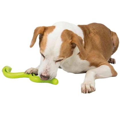 Toy Snack - Snake for Dogs 42 cm 1 Toy - additional product view 4