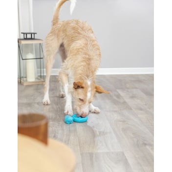 Toy Snack - Snake for Dogs (Teal) 18 cm 1 Toy - additional product view 4