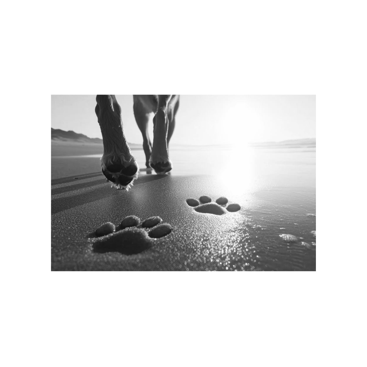 Sympathy Cards, Light and Shadow (Pack of 25)
