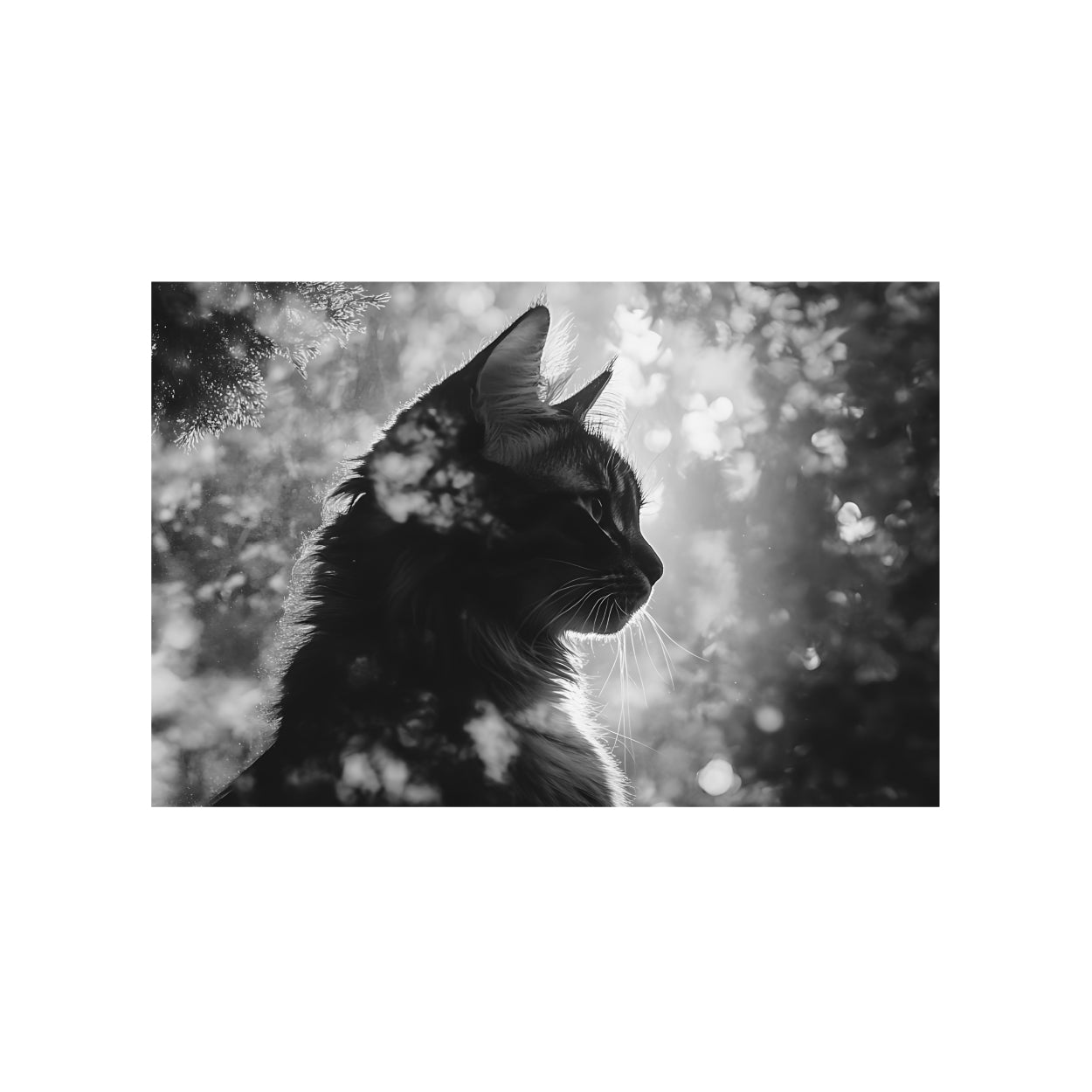 Sympathy Cards, Light and Shadow (Pack of 25) - additional product view 2