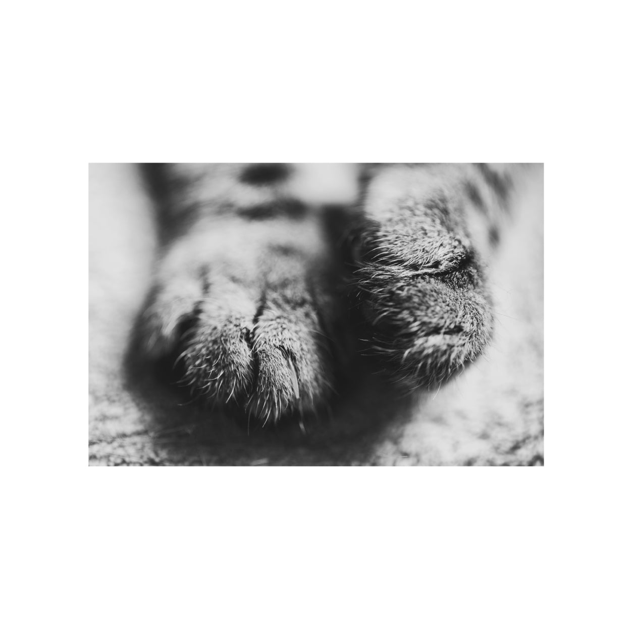 Sympathy Cards, Light and Shadow (Pack of 25) - additional product view 4