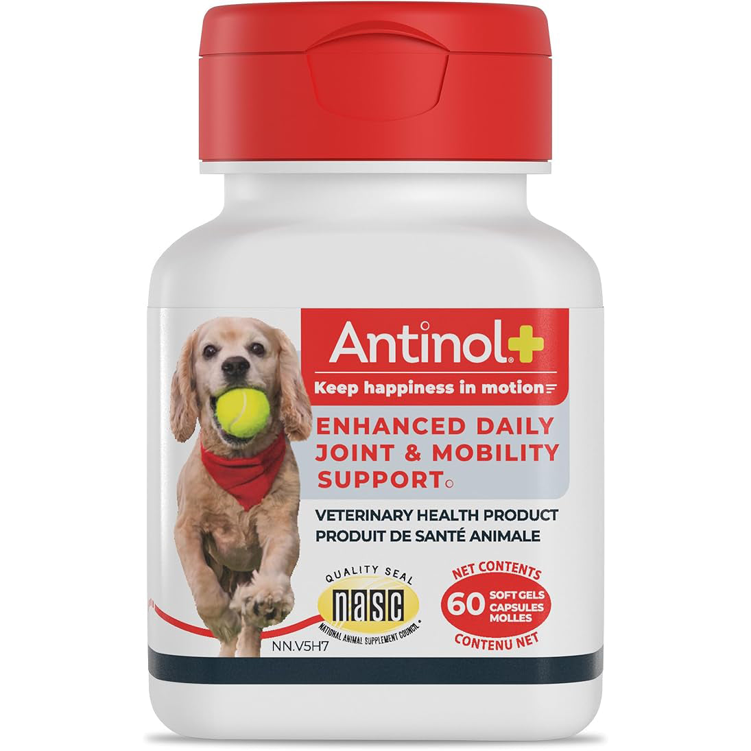 Antinol Plus Softgel for Dogs (Flavourless) 60 Softgels Test