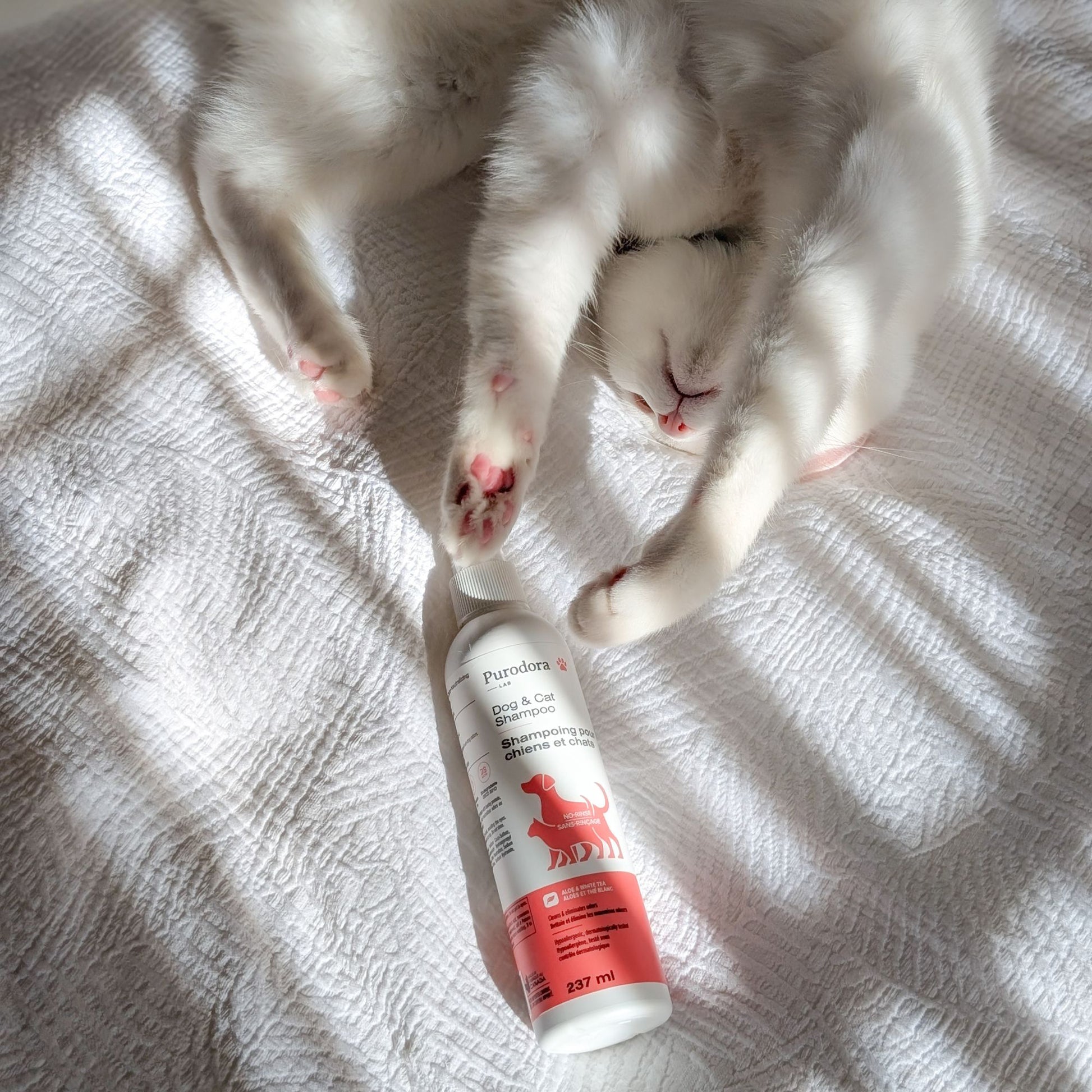 Shampoo No - Rinse for Cats and Dogs 237 mL Bottle - additional product view 2