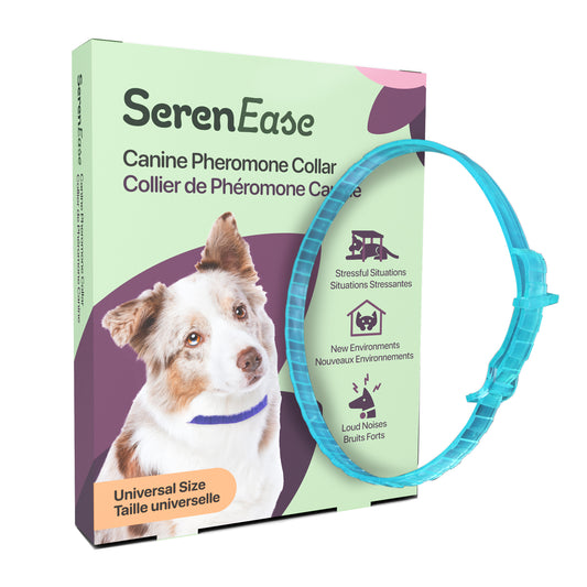 SerenEase Pheromone Collar for Dogs 1 Unit