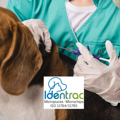 Microchip Identrac ISO with Disposable Implanter Bag of 10 Microchips 1.41 Mm x 10 Mm - additional product view 4