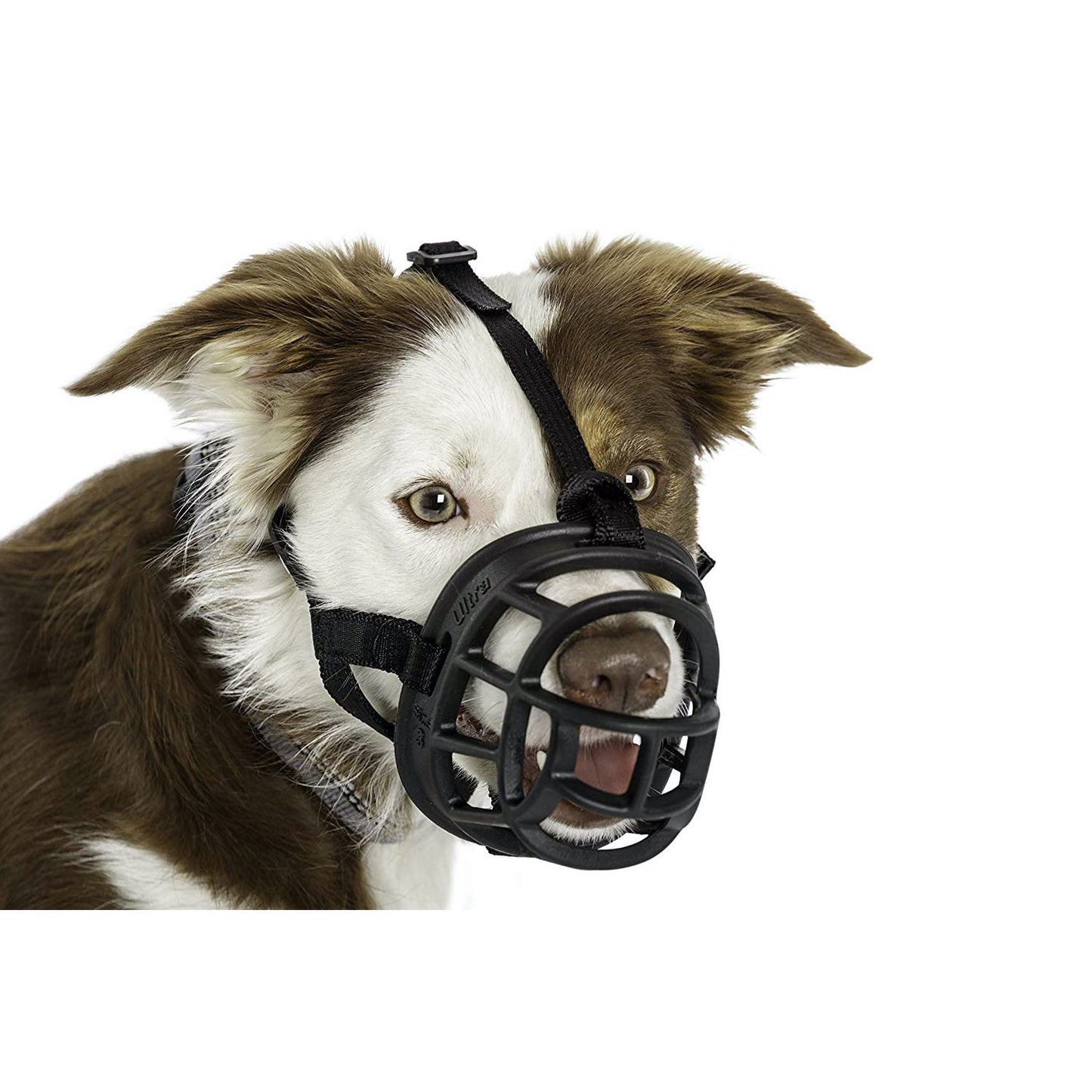 Ultra Muzzle for Dogs 1 Muzzle, Black, 3 - additional product view 3