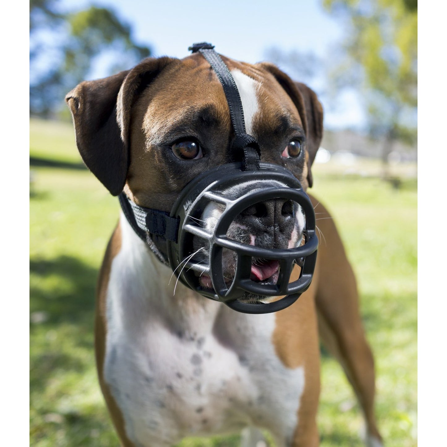 Ultra Muzzle for Dogs 1 Muzzle, Black, 5 - additional product view 3