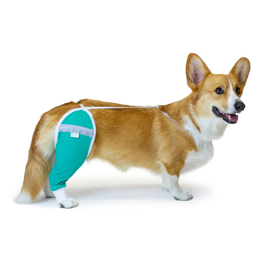 Protective Sleeve for Hip and Thigh - Short (Teal) 1 Sleeve