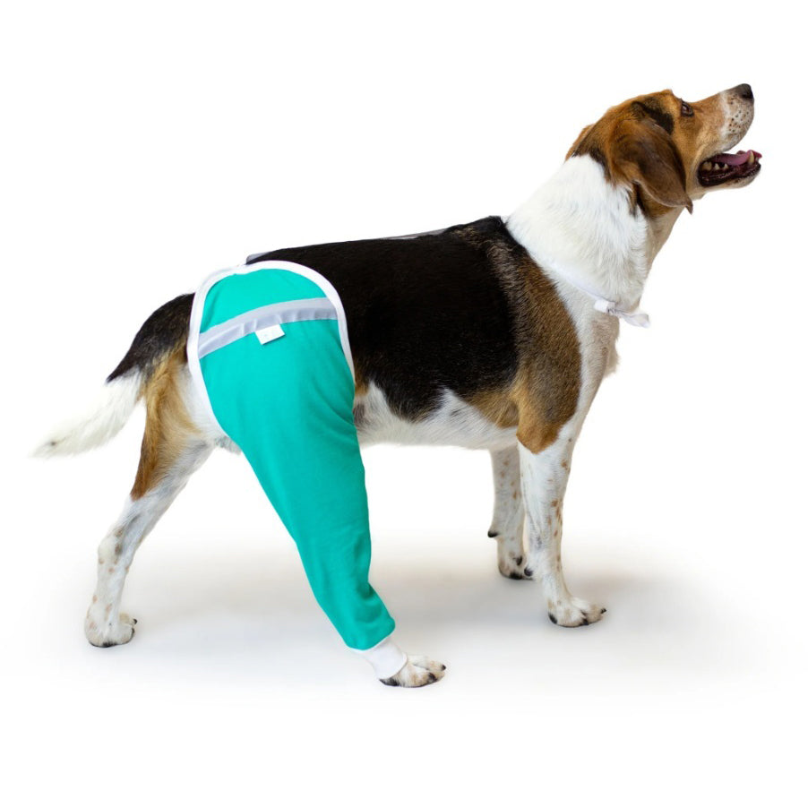 Protective Sleeve for Hip and Thigh (Teal) 1 Sleeve, Medium