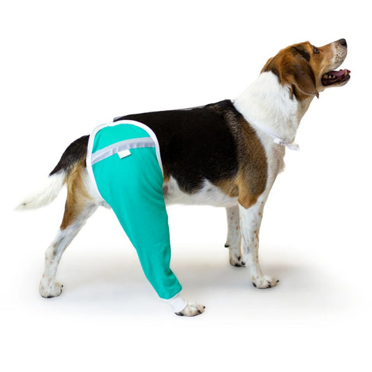 Protective Sleeve for Hip and Thigh (Teal) 1 Sleeve, Medium