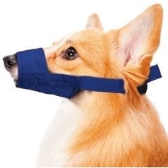 Quick Muzzle for Dogs (Blue) 1 Muzzle, Medium