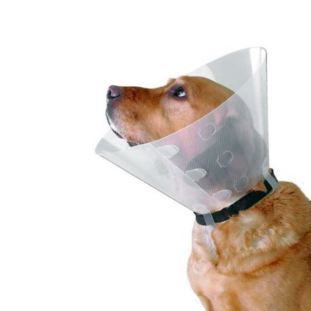 Buster Clic Collar 25 cm 1 Collar, Clear