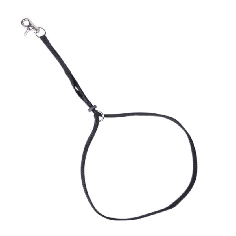 Grooming Loop Nylon Rope for Dogs 1 Unit 3 / 8 in x 18 in