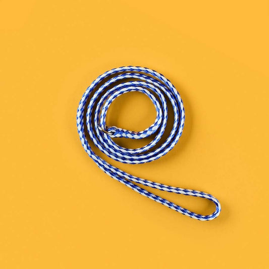 Control Leads for Dogs (Blue) 12 x 53 in