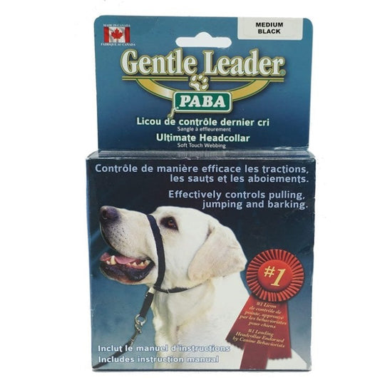 Headcollar for Dogs 1 Unit, Black, Medium
