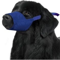Quick Muzzle for Dogs (Blue) 1 Muzzle, XXXLarge