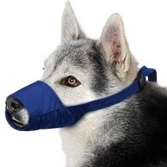 Quick Muzzle for Dogs (Blue) 1 Muzzle