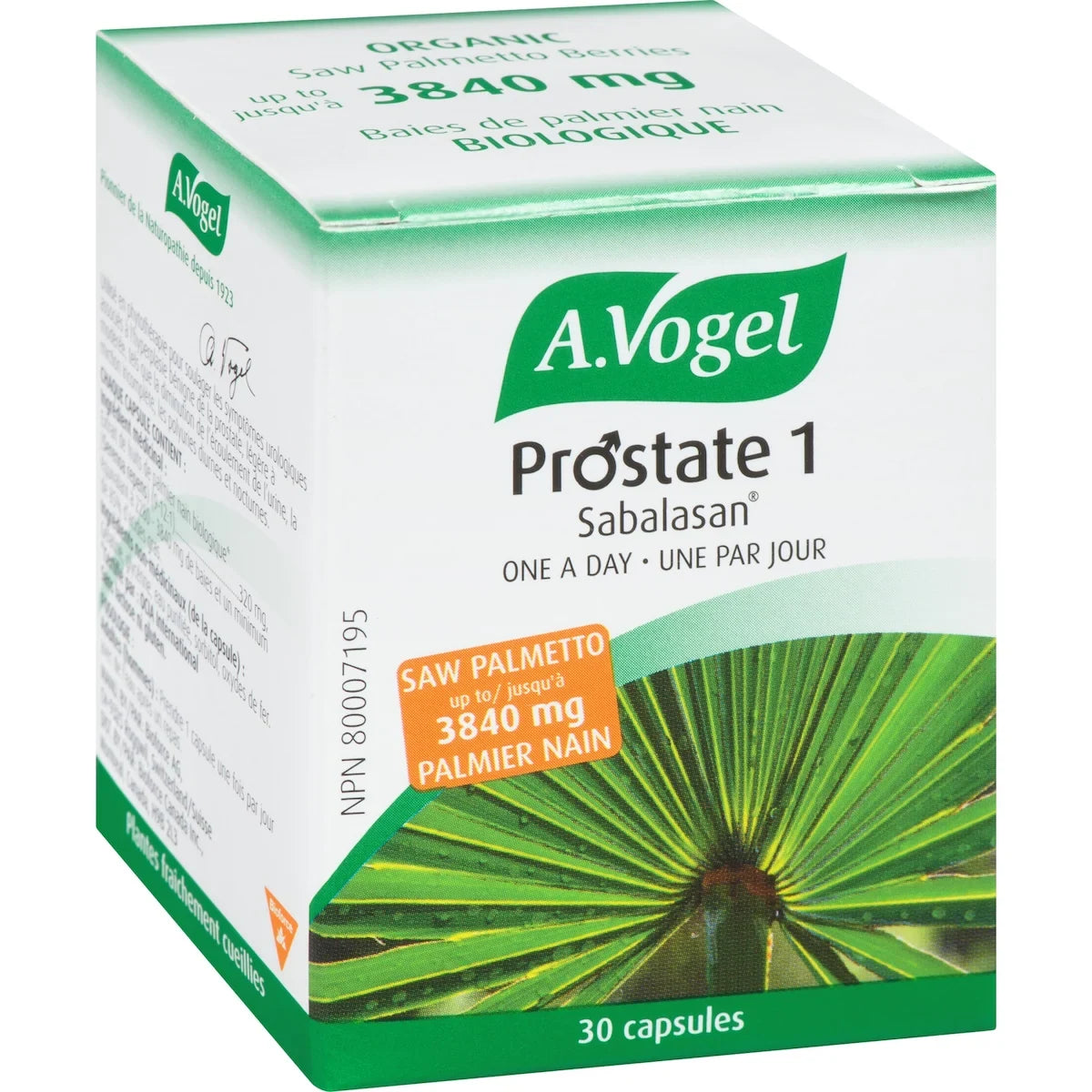 A Vogel Prostate 1 - Saw Palmetto for enlarged prostate product detail