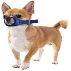 Quick Muzzle for Dogs (Blue) 1 Muzzle, XXSmall