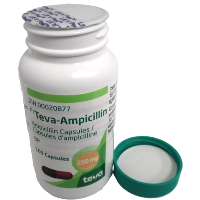 Ampicillin Capsule 1 Bottle of 100 Capsules