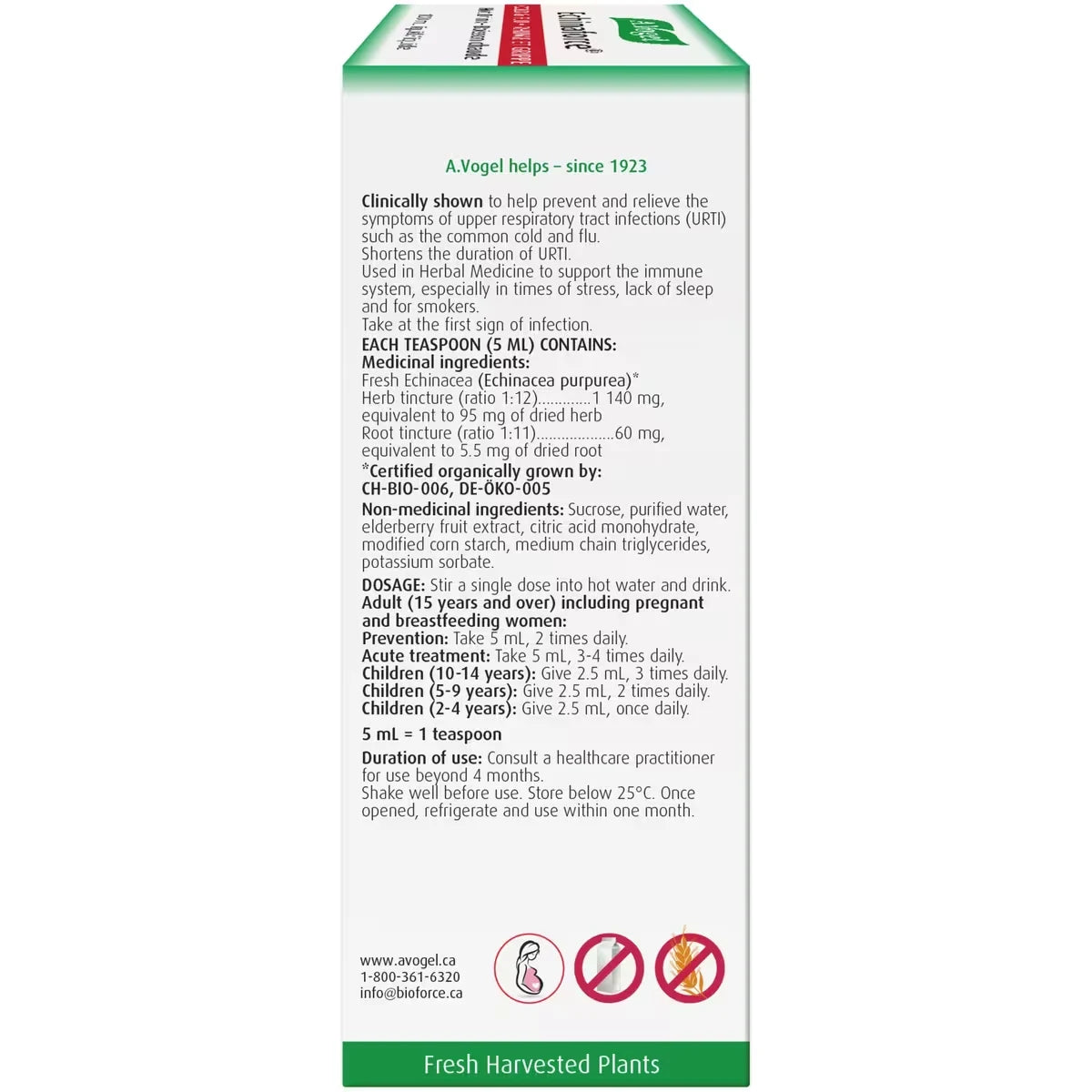 A Vogel Echinaforce Extra Hot Drink Immune Support for Cold and Flu product detail