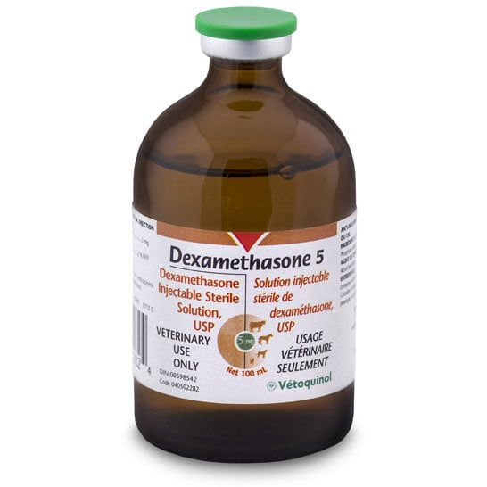 Dexamethasone Injection for Cats 100 mL 1 Vial of 100 mL 5 mg / mL