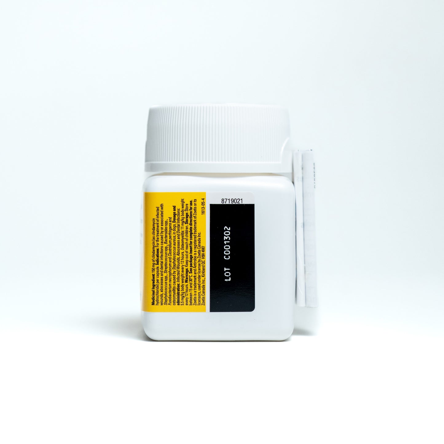 Antirobe Capsule Bottle of 100 Capsules