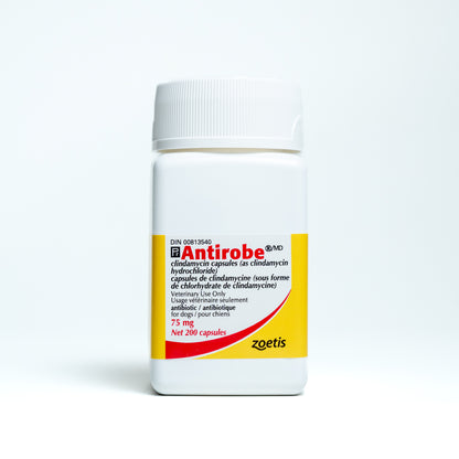Antirobe for Dogs, 75 mg, 200 Capsules - product image 2