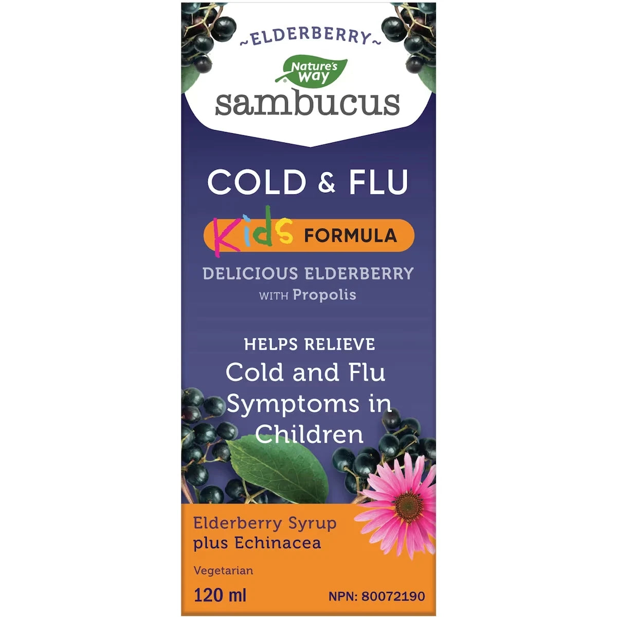 Nature's Way Sambucus Kids Cold and Flu Care, Syrup Berry Flavour, 120 ml front package