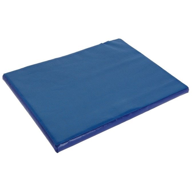 Disinfection Mat 1 Mat 85 cm x 60 cm