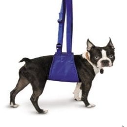 Quick - Lift for Dogs 1 Unit