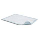 Attends 31925 - Attends Care Dri-Sorb Underpads, 17"X24" - 30 Bags Of 10 UFS-170 —  — product image