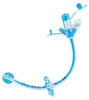 Avanos Mic Gastrostomy Tube, Adult 20 Fr 7-10cc - Each