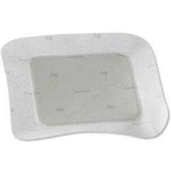 Coloplast Biatain Silicone Ag, 4in x 4in (10 cm x 10 cm) - Box of 5