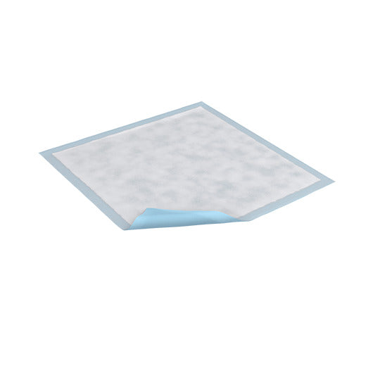 Tena Cs/6pkg (25/Pkg) Tena Regular Aborbency Underpads, 23in X 36in 352 —  — product image