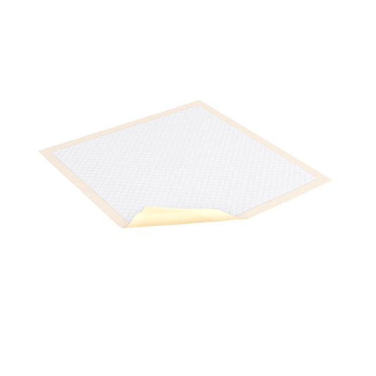 Tena Cs/10pkg (10/Pkg) Tena Extra Absorbency Underpads, 36in x 36in