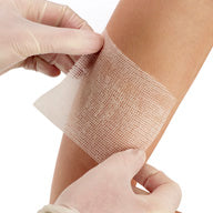 Smith & Nephew Jelonet Paraffin Dressing, Size 10cm X 10cm 7404N — Box of 10 — product image